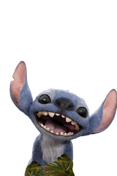Stitch